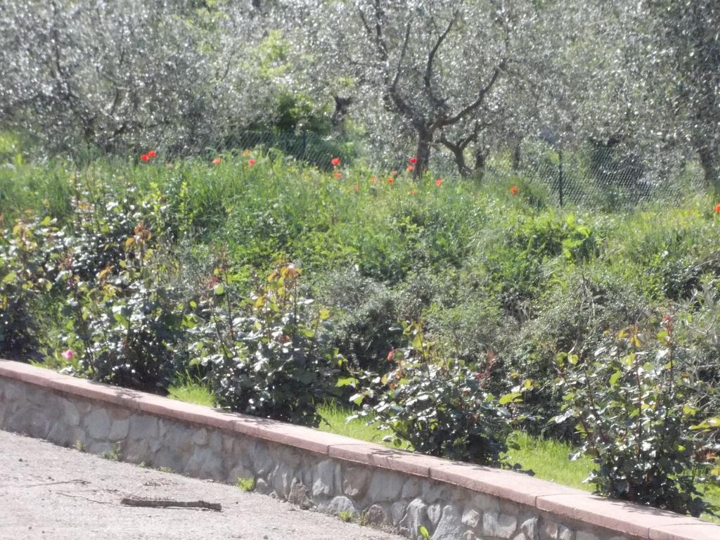 Villa Paola Arezzo