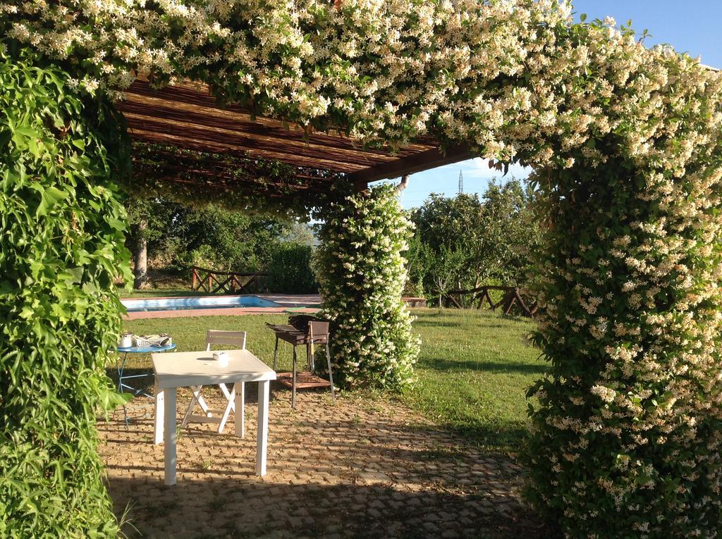Paola Villa Arezzo